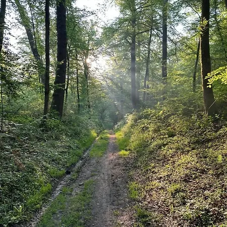 Prázdninový dům La Parisis